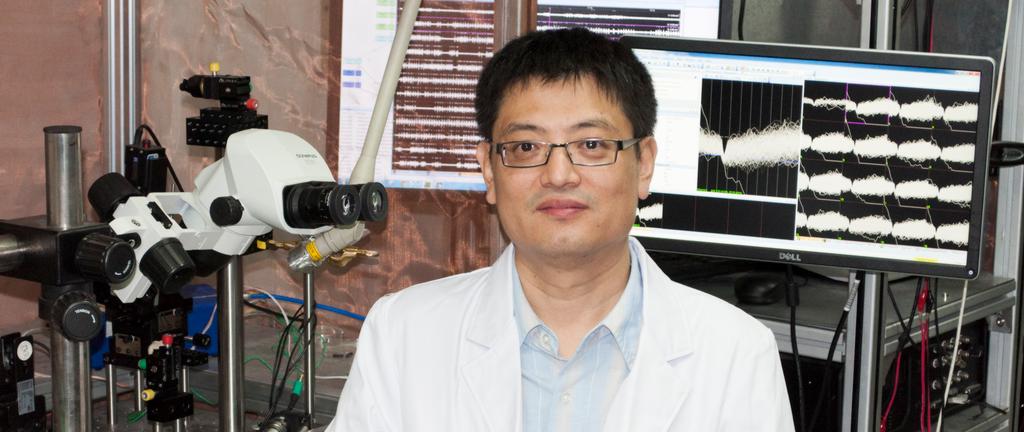 1Prof Yan Zhu